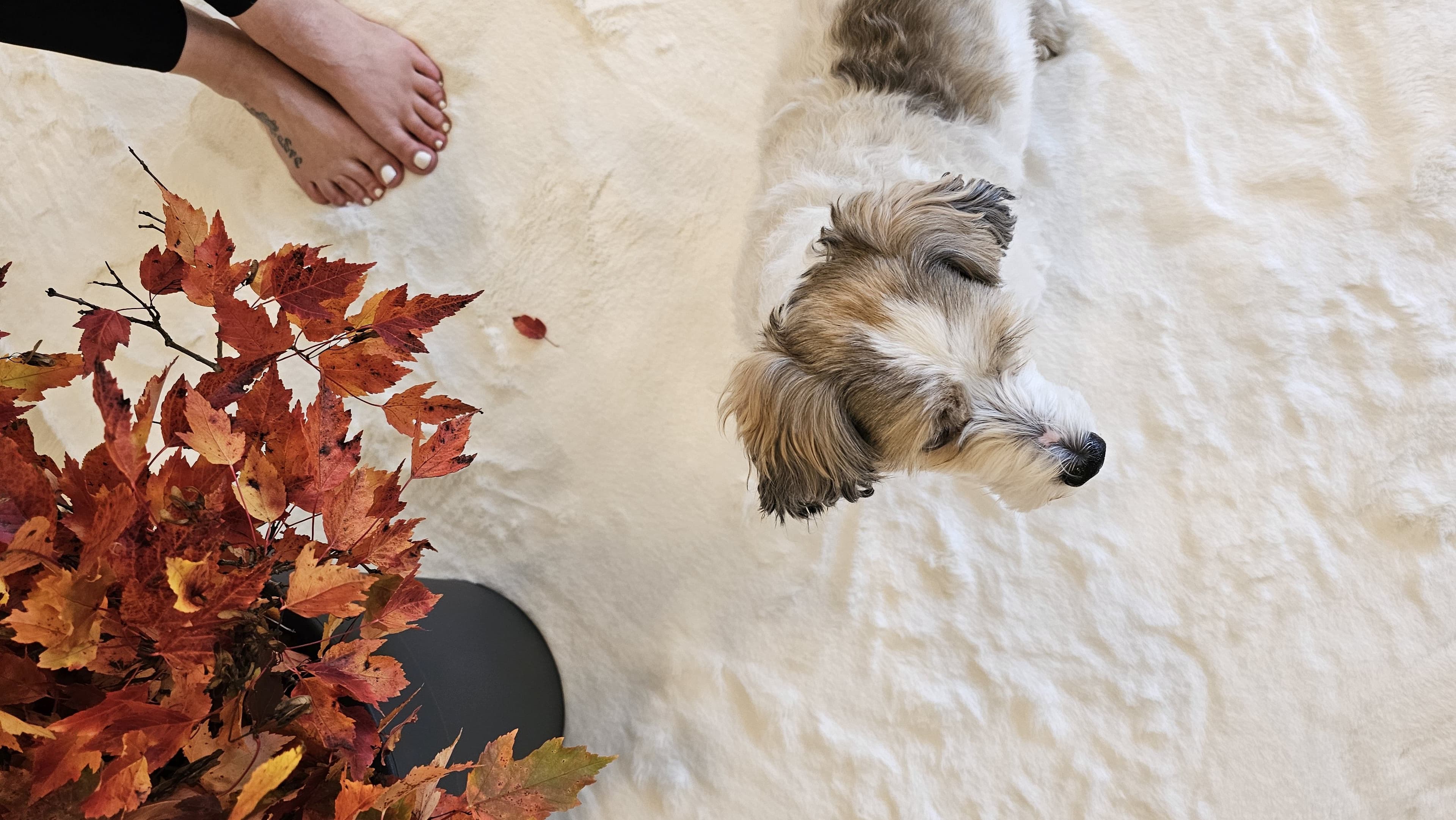 <p data-block-key="pesue">Pehmeä valkoinen PILVI-matto.</p>